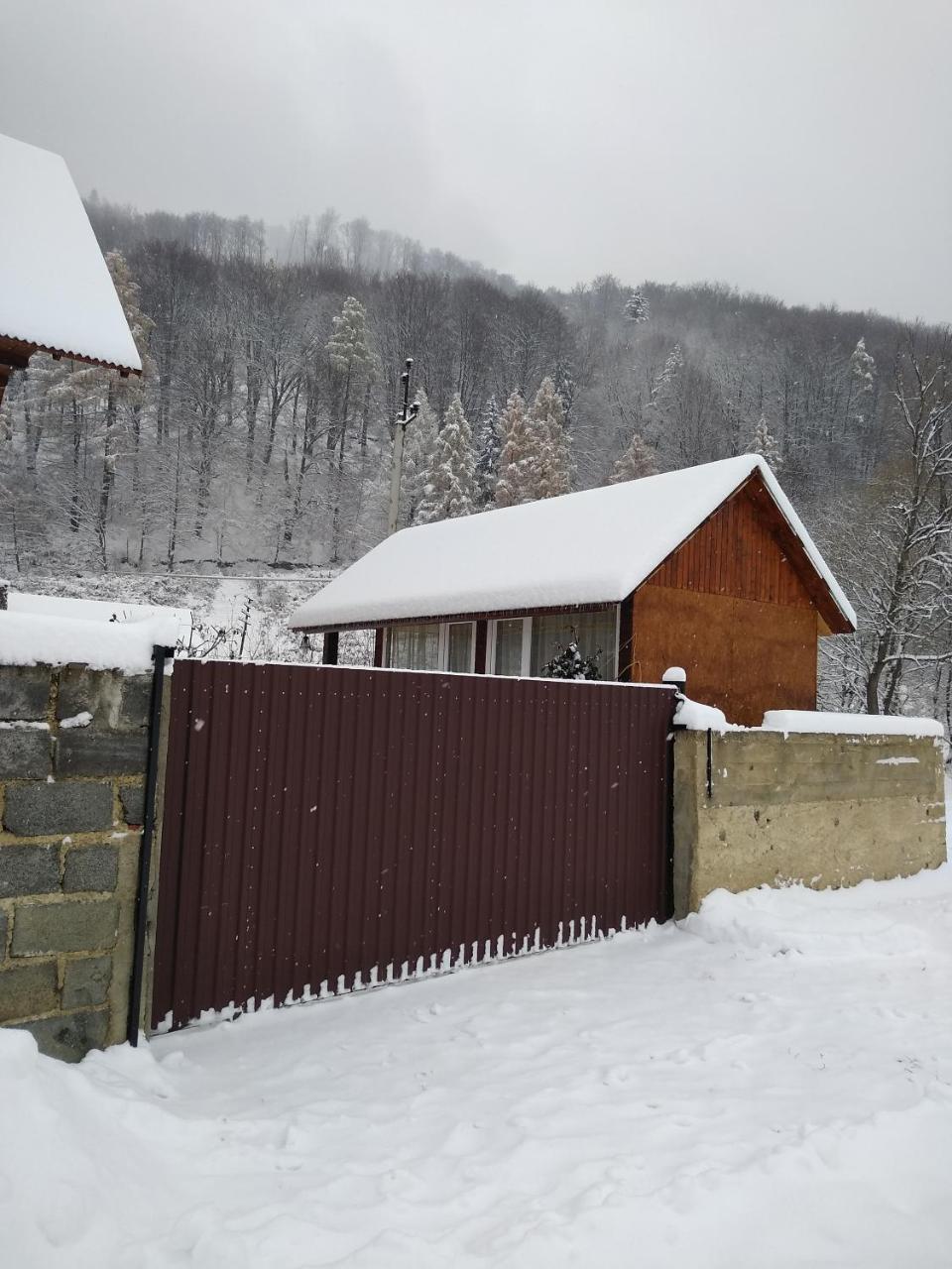 Apartamento Карпатські Ночі Чан На Території Yaremche Exterior foto